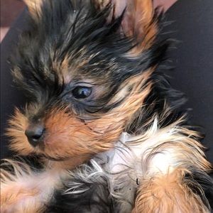 Meet your Posher, Mimi